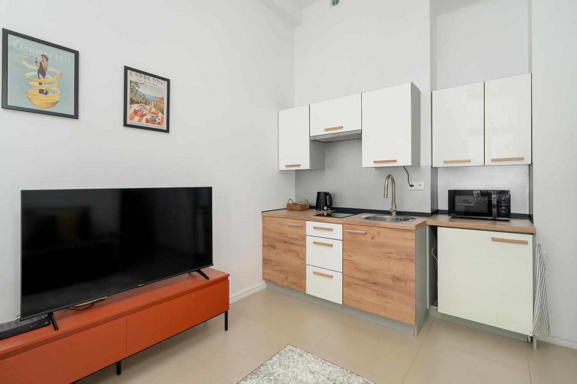 Wyjatkowy Z 1 Sypialnia By Renters Apartment Posen
